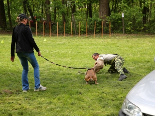 Duna Dog Center kutyiskola születésnapja - fotó: Ónodi Zoltán