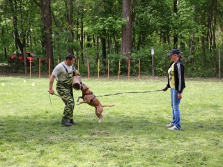 Duna Dog Center kutyiskola születésnapja - fotó: Ónodi Zoltán