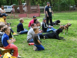 Duna Dog Center kutyiskola születésnapja - fotó: Ónodi Zoltán