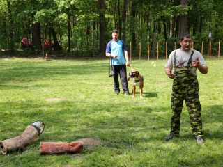 Duna Dog Center kutyiskola születésnapja - fotó: Ónodi Zoltán