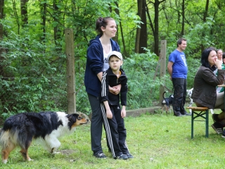 Duna Dog Center kutyiskola születésnapja - fotó: Ónodi Zoltán