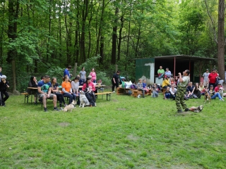 Duna Dog Center kutyiskola születésnapja - fotó: Ónodi Zoltán