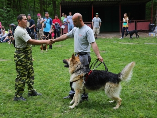 Duna Dog Center kutyiskola születésnapja - fotó: Ónodi Zoltán