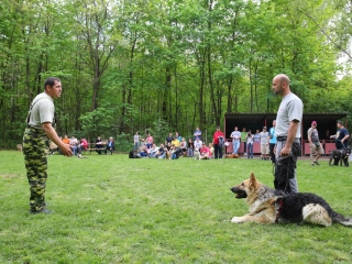 Duna Dog Center kutyiskola születésnapja - fotó: Ónodi Zoltán