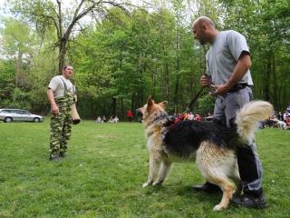 Duna Dog Center kutyiskola születésnapja - fotó: Ónodi Zoltán