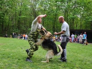 Duna Dog Center kutyiskola születésnapja - fotó: Ónodi Zoltán