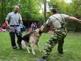 Duna Dog Center kutyiskola születésnapja - fotó: Ónodi Zoltán