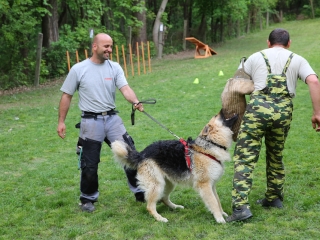 Duna Dog Center kutyiskola születésnapja - fotó: Ónodi Zoltán