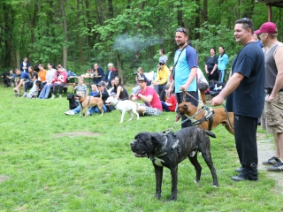 Duna Dog Center kutyiskola születésnapja - fotó: Ónodi Zoltán