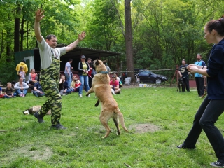 Duna Dog Center kutyiskola születésnapja - fotó: Ónodi Zoltán
