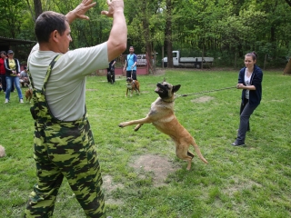 Duna Dog Center kutyiskola születésnapja - fotó: Ónodi Zoltán