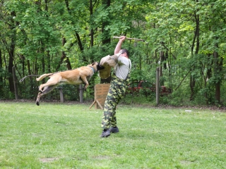 Duna Dog Center kutyiskola születésnapja - fotó: Ónodi Zoltán
