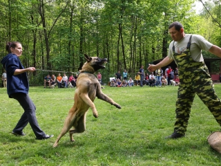 Duna Dog Center kutyiskola születésnapja - fotó: Ónodi Zoltán