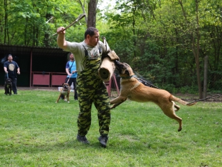 Duna Dog Center kutyiskola születésnapja - fotó: Ónodi Zoltán