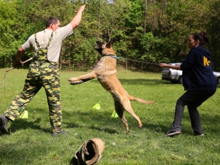 Duna Dog Center kutyiskola születésnapja - fotó: Ónodi Zoltán