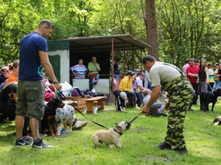 Duna Dog Center kutyiskola születésnapja - fotó: Ónodi Zoltán