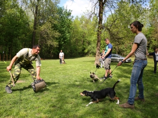 Duna Dog Center kutyiskola születésnapja - fotó: Ónodi Zoltán