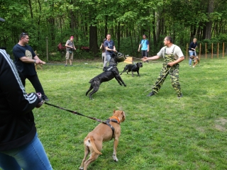 Duna Dog Center kutyiskola születésnapja - fotó: Ónodi Zoltán