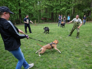 Duna Dog Center kutyiskola születésnapja - fotó: Ónodi Zoltán