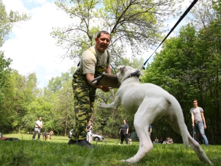 Duna Dog Center kutyiskola születésnapja - fotó: Ónodi Zoltán