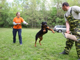 Duna Dog Center kutyiskola születésnapja - fotó: Ónodi Zoltán