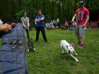 Duna Dog Center kutyiskola születésnapja - fotó: Ónodi Zoltán