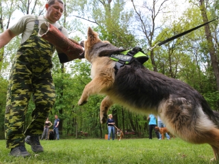 Duna Dog Center kutyiskola születésnapja - fotó: Ónodi Zoltán