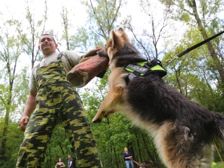 Duna Dog Center kutyiskola születésnapja - fotó: Ónodi Zoltán