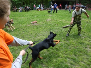 Duna Dog Center kutyiskola születésnapja - fotó: Ónodi Zoltán