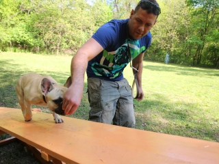 Duna Dog Center kutyiskola születésnapja - fotó: Ónodi Zoltán