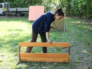 Duna Dog Center kutyiskola születésnapja - fotó: Ónodi Zoltán