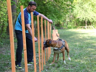 Duna Dog Center kutyiskola születésnapja - fotó: Ónodi Zoltán