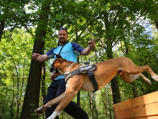 Duna Dog Center kutyiskola születésnapja - fotó: Ónodi Zoltán