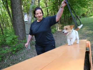 Duna Dog Center kutyiskola születésnapja - fotó: Ónodi Zoltán