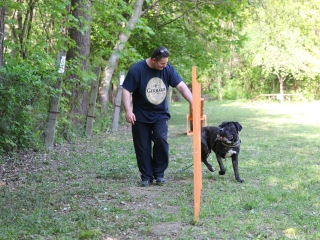 Duna Dog Center kutyiskola születésnapja - fotó: Ónodi Zoltán