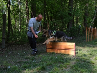 Duna Dog Center kutyiskola születésnapja - fotó: Ónodi Zoltán