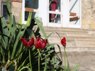 Költözik a Bánki iskola - fotó: Ónodi Zoltán