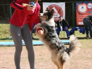 Országos Street Workout bajnokság és családi nap - fotó: Ónodi Zoltán