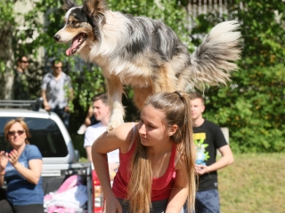 Országos Street Workout bajnokság és családi nap - fotó: Ónodi Zoltán