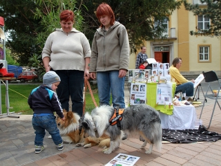 Májusi Mulatság 2015 - fotó: Sándor Judit