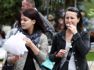 Májusi Mulatság 2015 - fotó: Sándor Judit