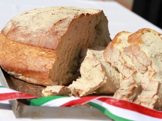 Augusztus 20. – ünnepi kenyérszentelés - fotó: 