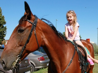 Lovasok a Lajos-köveknél - fotó: 