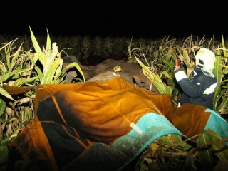 Hőlégballon tragédiája Vál közelében - fotó: 