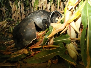 Hőlégballon tragédiája Vál közelében - fotó: 