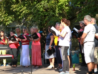 Ragyogj kékben! Ligeti kavalkád - fotó: 