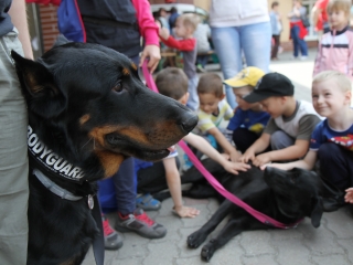 Nyílt nap a mentőknél - fotó: Sándor Judit