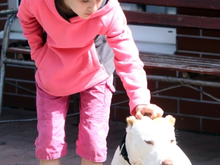 Nyílt nap a mentőknél - fotó: Sándor Judit