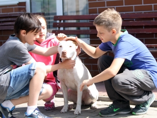 Nyílt nap a mentőknél - fotó: Sándor Judit