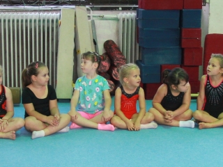 Toborzó a Dunaferr tornászainál! - fotó: 